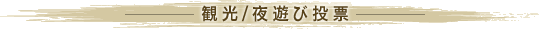 観光/夜遊び投票
